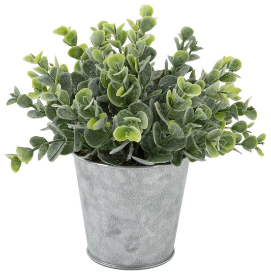 Bushy Sedum MetalCan Planter